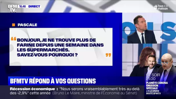 Auto-entrepreneuse et en congé maternité depuis mars 2019, comment bénéficier du fonds de solidarité