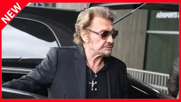 ✅  Johnny Hallyday coach politique : cette étonnante anecdote