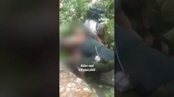 Une Française tuée par la chute d'un arbre à Bali