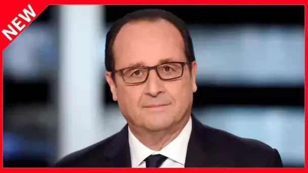 ✅  « Que les maires me pardonnent » : François Hollande fait un surprenant mea culpa