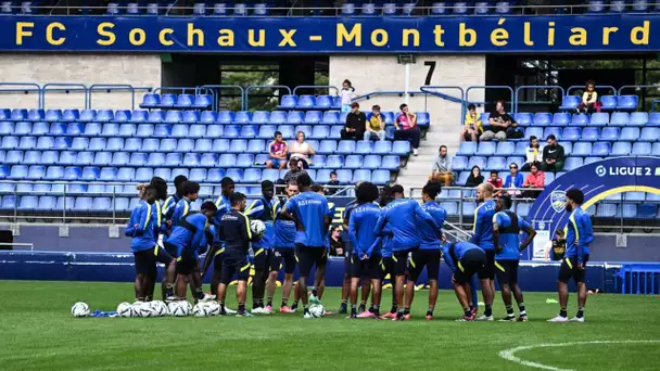 Football : Franck Silvestre réagit à l'avis favorable de la DNCG pour le maintien de Sochaux en N…