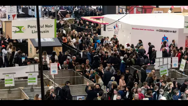 Salon de l'Agriculture 2023 : ces producteurs médaillés qui voient leurs ventes grimper