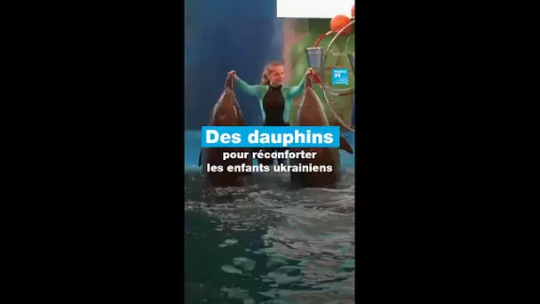 Des dauphins pour apporter du réconfort aux enfants ukrainiens • FRANCE 24