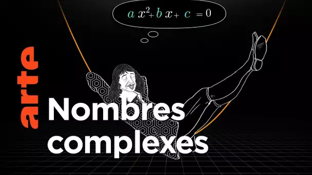 Pique-nique sur le plan complexe | Voyages au pays des maths | ARTE