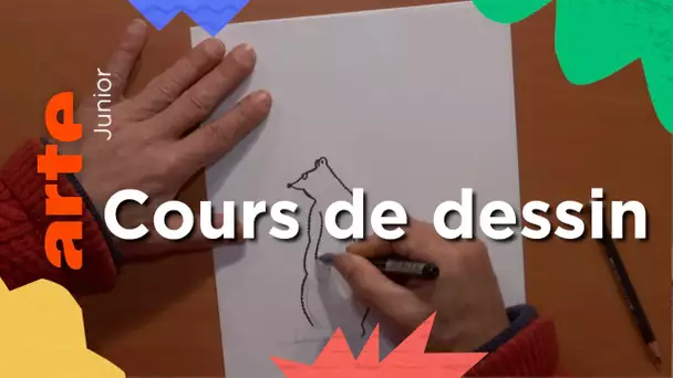 Comment dessiner l'ours Barnabé | Cours de dessin | ARTE Junior