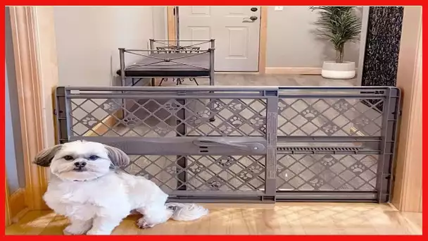 MYPET North States 40” Paws Portable Pet Gate: Made in USA, Expands & Locks in Place with No Tools