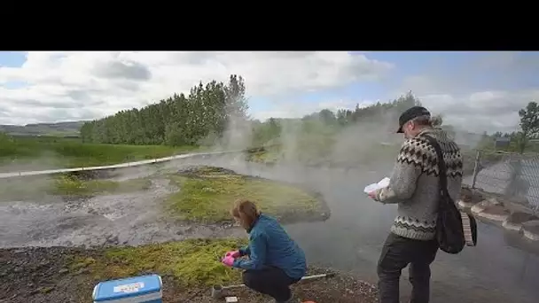 Quand des virus inconnus nous veulent du bien