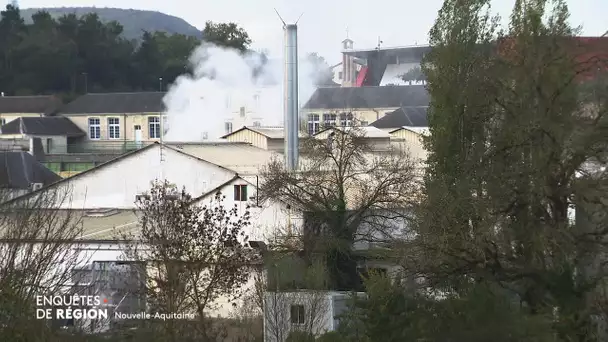 Enquêtes de région : l'écologie dans les entreprises