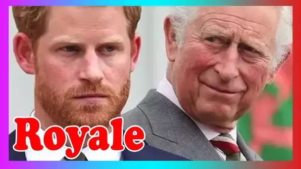 Le prince Charles « redoute » les mémoir3s de Harry alors que le duc « ronge » le rôle du futur roi