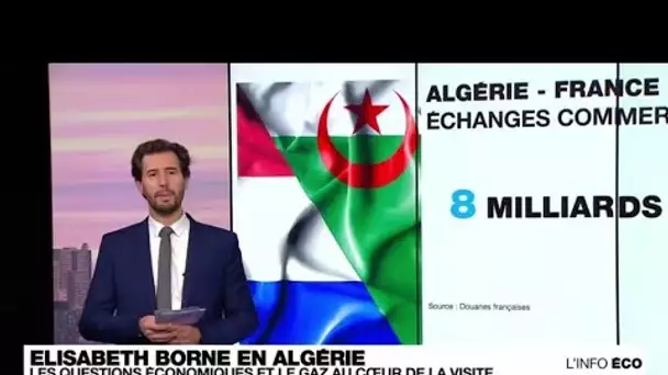 Élisabeth Borne et son gouvernement veulent renforcer les liens économiques avec Alger • FRANCE 24