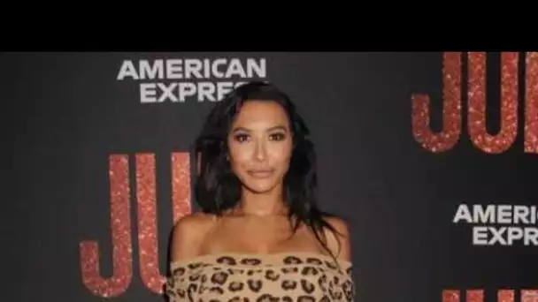 Naya Rivera : cette mise au point inquiétante de la police à propos de la...