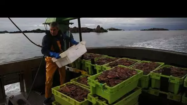 Pêche  : la France se prépare à indemniser les navires sans licence, "fiasco" pour les pêcheurs