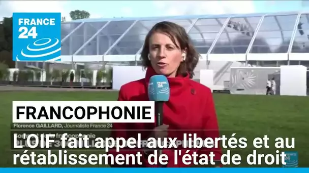 Francophonie : Liban, Haïti... l'OIF fait appel aux libertés et au rétablissement de l'état de droit