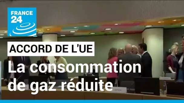 Les pays de l'UE s'accordent pour réduire la consommation de gaz • FRANCE 24