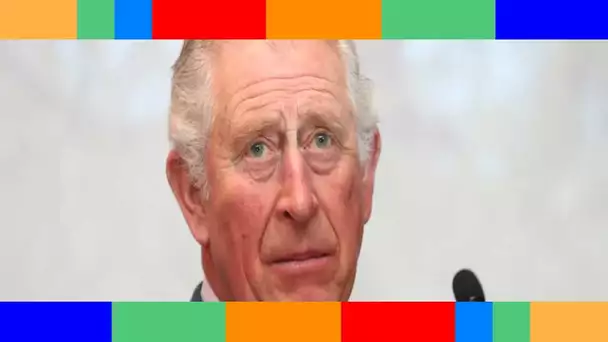 « Terri.blem.ent déçu » : pourquoi Charles en veut vraiment à Meghan et Harry