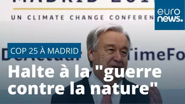 Guterres : L'Humanité doit mettre fin à sa "guerre contre la nature"