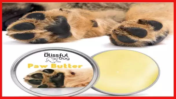 The Blissful Dog Paw Butter for Your Dog's Rough and Dry Paws, 1-Ounce