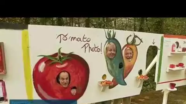 La tomate, petite reine du Festival de Montlouis-sur-Loire