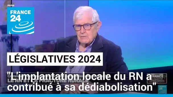 "L'implantation locale du RN a contribué à sa dédiabolisation", selon l'historien Hervé Le Bras