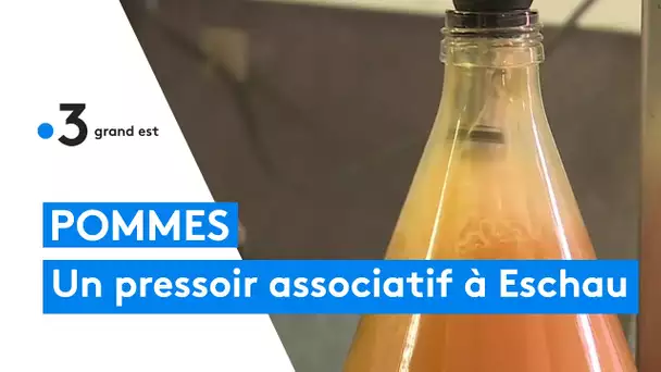 Pommes : le pressoir associatif d'Eschau en Alsace