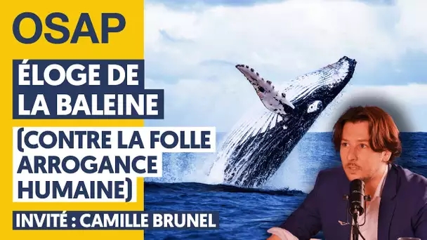 ÉLOGE DE LA BALEINE (CONTRE LA FOLLE ARROGANCE HUMAINE) | CAMILLE BRUNEL, JULIEN THÉRY