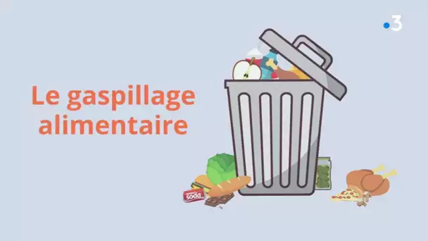 Gaspillage alimentaire : les chiffres