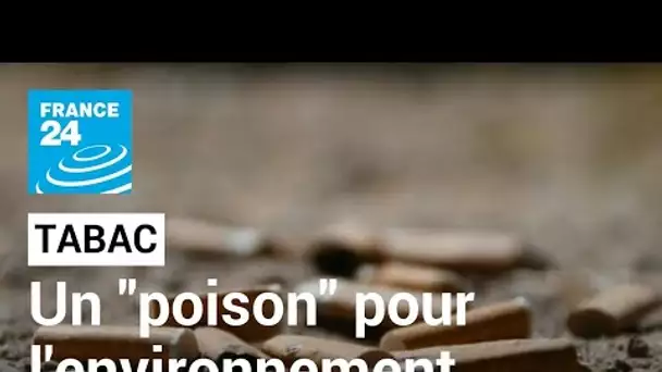 L'industrie du tabac est "un des plus grands pollueurs", alerte l'OMS • FRANCE 24