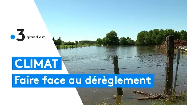 Climat : comment faire face au dérèglement ?