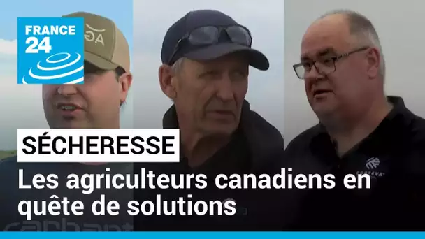 Sécheresse : les agriculteurs canadiens en quête de solutions • FRANCE 24