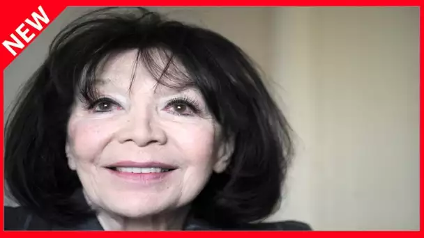 ✅  Obsèques de Juliette Gréco : qui est sa petite-fille Julie Amour-Rossini en charge de l’hommage?