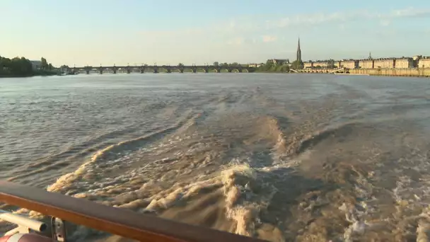 SÉRIE. Bordeaux au fil de la vie sur la Garonne