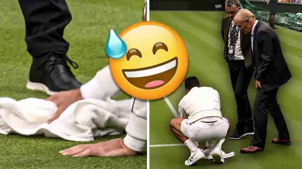 Quand Novak Djokovic tente de sécher la pelouse du Court Central... avec une serviette !