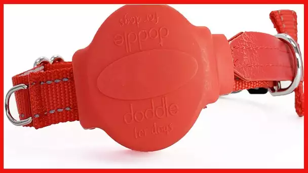 Doddle | Retractable Leash and Collar in One | Fear Free | Medium | 13-17" Neck