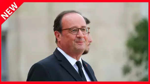 ✅  « La pratique du gentil bordel » : François Hollande a laissé des traces à l’Elysée