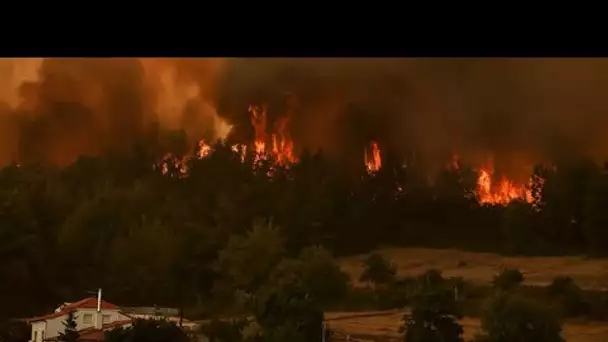 Les incendies font toujours rage en Turquie et en Grèce • FRANCE 24