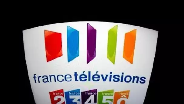 Les députés favorables à une suppression totale de la publicité après 20h sur France Télévisions …