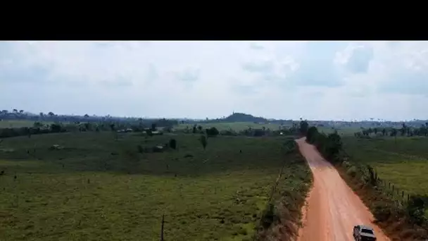 Brésil : la "mafia agricole" à l’assaut de la forêt de Rondônia • FRANCE 24