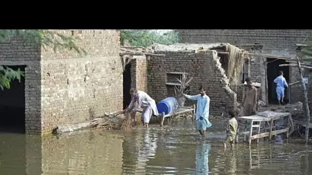 Inondations historiques au Pakistan : une course contre la montre pour les secouristes • FRANCE 24