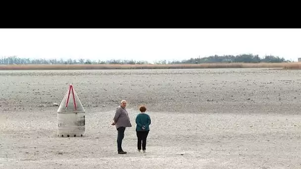 L'Autriche en proie à la sécheresse, le lac Zicksee toujours asséché