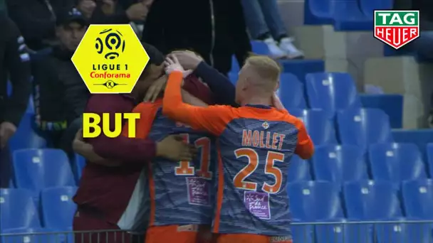 But Andy DELORT (22') / Montpellier Hérault SC - EA Guingamp (2-0)  (MHSC-EAG)/ 2018-19