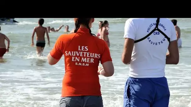 Risque de noyade, surveillance des plages... La SNSM recrute des sauveteurs pour le mois d'août