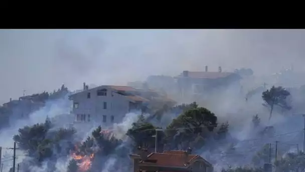 Feux de forêt : les flammes s'engouffrent dans la banlieue d'Athènes