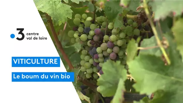 Touraine : hausse des ventes de vin biologique