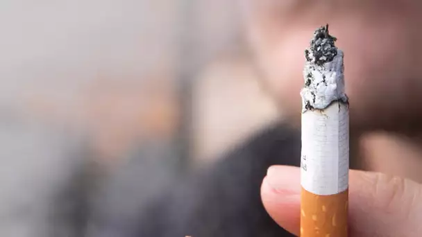 Achats de cigarettes : portrait de Sami, l'étudiant de Sciences-Po qui a réussi à faire plier l'É…