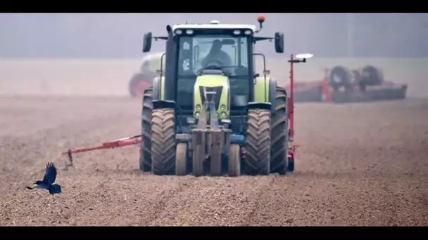 Épisode de gel : l'inquiétude des agriculteurs du Rhône