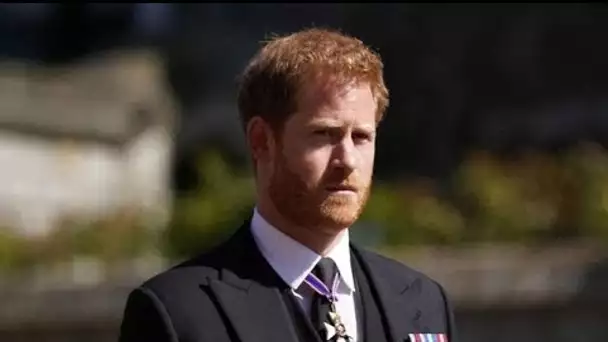 Le prince Harry réveillé par la police, en pleine nuit, à Los Angeles : mais que...