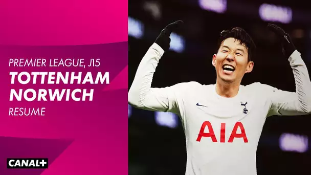 Le résumé de Tottenham / Norwich en VO - J15 Premier League