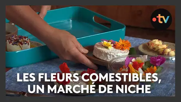 Les fleurs comestibles : un marché de niche à découvrir