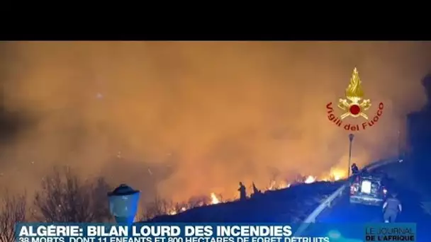 Algérie : des incendies meurtriers ravagent le nord du pays • FRANCE 24