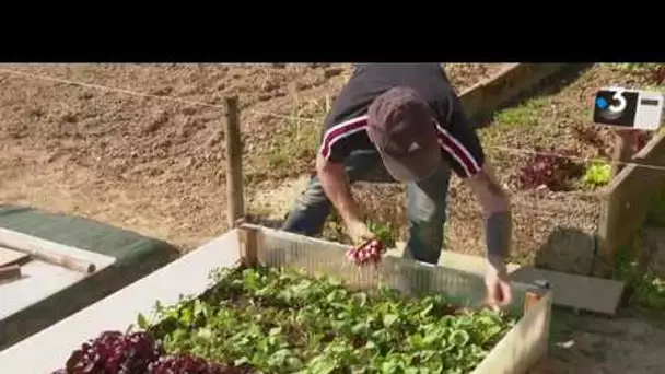 Angers : jardins familiaux interdits de fréquentation, situation différentes dans d'autres communes